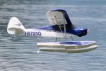 Carbon Cub