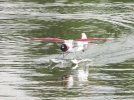 Stinson Reliant