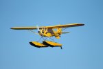 Piper Cub