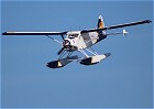 DHC-2 Beaver