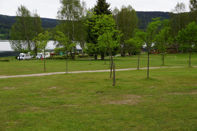 Lipno 2017 - Foto 06 - klick = zurck zum Index