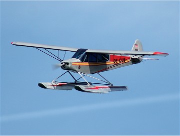 Piper PA-19  - Foto 14