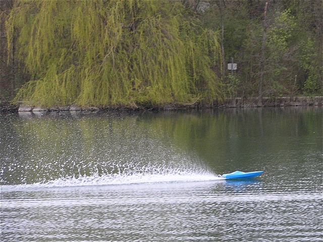 Ratzersdorfer See, 06. April 2008 - Foto 24 - klick = zurck zum Index