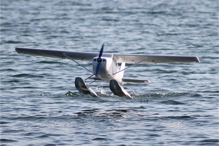 Viehofner See, 07. Juli 2012 - Foto 34 - klick = zurck zum Index