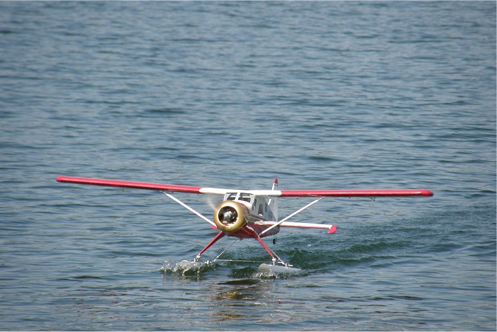 Viehofner See, 09. Juli 2011 - Foto 19 - klick = zurck zum Index