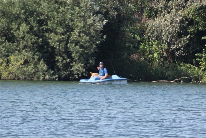 Viehofner See, 09. Juli 2011 - Foto 55 - klick = zurck zum Index