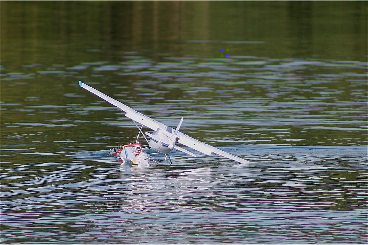 Viehofner See, 14. August 2011 - Foto 47 - klick = zurck zum Index