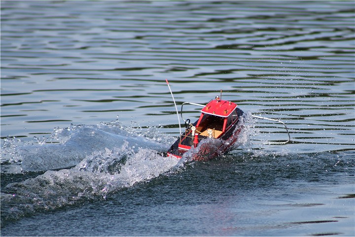 Viehofner See, 14. August 2011 - Foto 48 - klick = zurck zum Index