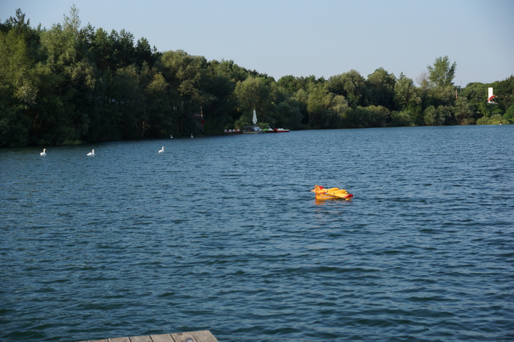 Viehofner See, 03. August 2014 - Foto 104 - klick = zurck zum Index