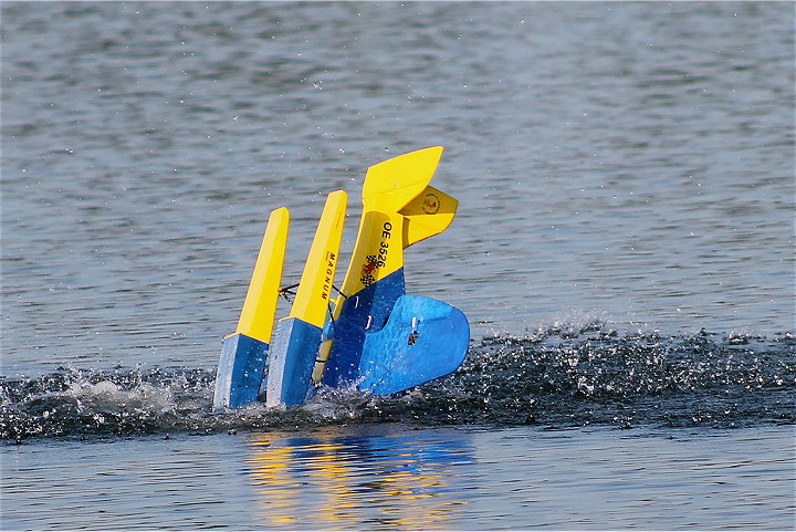 Viehofner See, 03. August 2014 - Foto 64 - klick = zurck zum Index