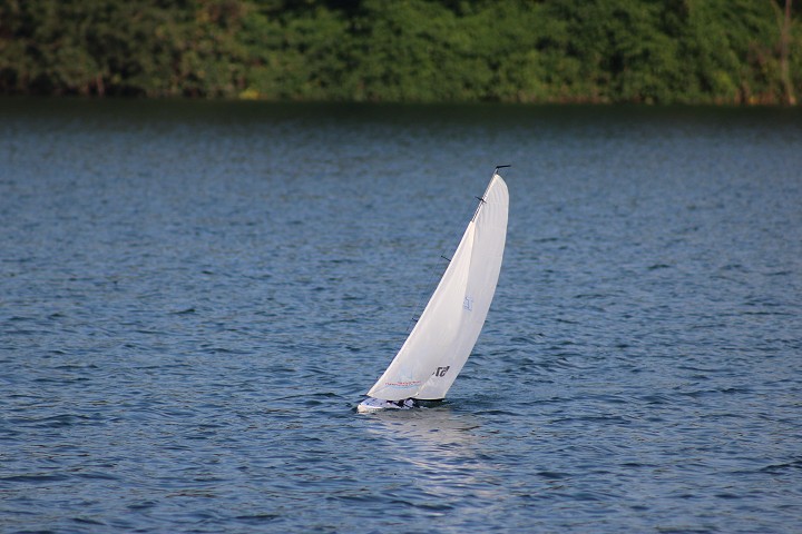 Viehofner See, 04. September 2016 - Foto 07 - klick = zurck zum Index