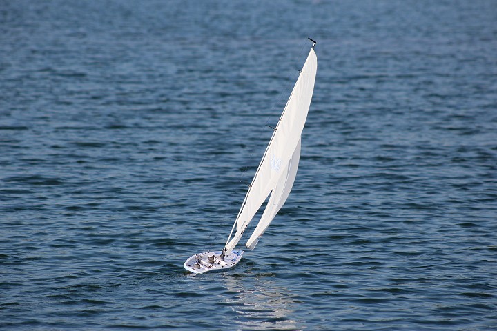 Viehofner See, 04. September 2016 - Foto 11 - klick = zurck zum Index