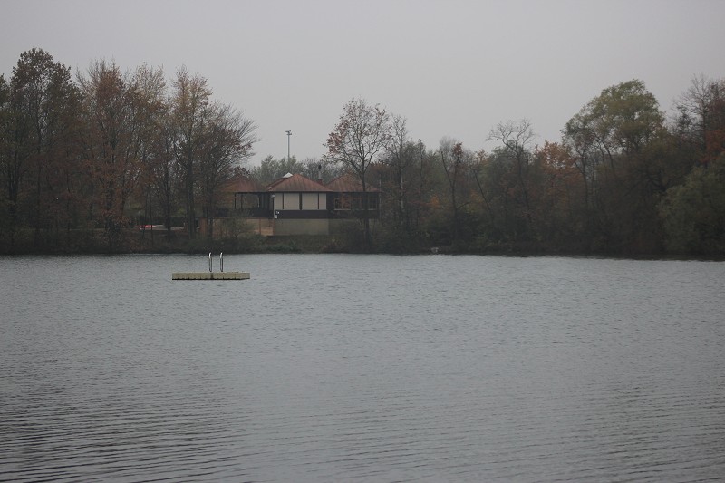 Ratzersdorfer See, 05. November 2017 - Foto 34 - klick = zurck zum Index