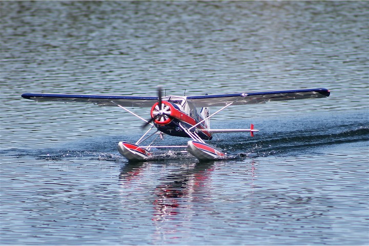 Viehofner See, 06. Oktober 2012 - Foto 99 - klick = zurck zum Index