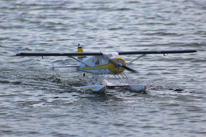 Viehofner See, 07. August 2016 - Foto 55 - klick = zurck zum Index