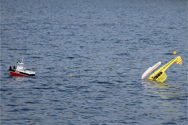 Viehofner See, 07. August 2016 - Foto 75 - klick = zurck zum Index