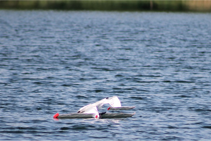 Viehofner See, 11. August 2013 - Foto 61 - klick = zurck zum Index