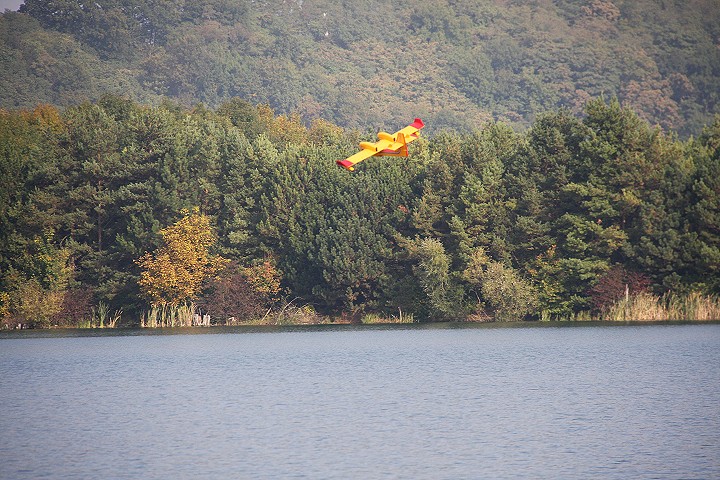 Viehofner See, 16. Oktober 2016 - Foto 32 - klick = zurck zum Index