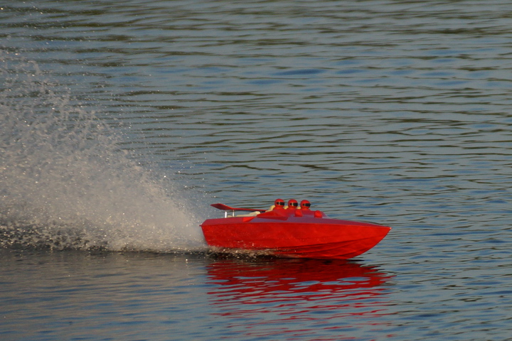 Viehofner See, 20. Juli 2014 - Foto 37 - klick = zurck zum Index