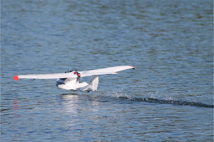 Viehofner See, 21. Juli 2013 - Foto 12 - klick = zurck zum Index