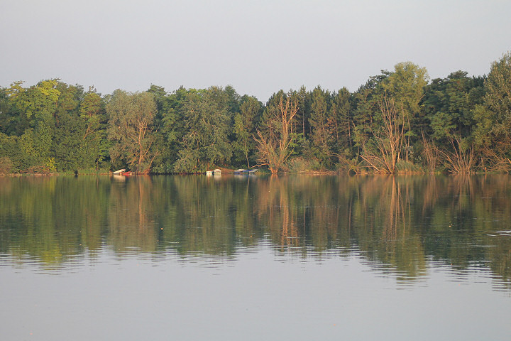 Viehofner See, 25. Juni 2017 - Foto 04 - klick = zurck zum Index