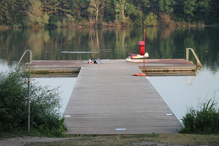 Viehofner See, 25. Juni 2017 - Foto 05 - klick = zurck zum Index