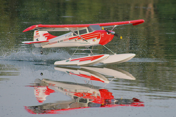 Viehofner See, 25. Juni 2017 - Foto 61 - klick = zurck zum Index