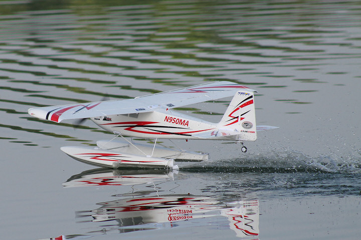 Viehofner See, 25. Juni 2017 - Foto 87 - klick = zurck zum Index