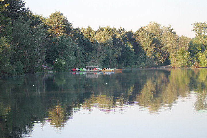 Viehofner See, 28. Mai 2017 - Foto 03 - klick = zurck zum Index