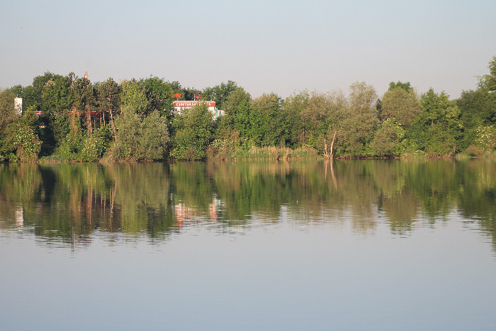 Viehofner See, 28. Mai 2017 - Foto 04 - klick = zurck zum Index