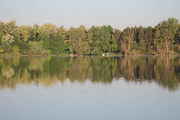 Viehofner See, 28. Mai 2017 - Foto 05 - klick = zurck zum Index