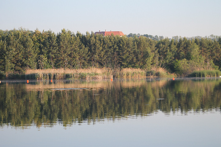 Viehofner See, 28. Mai 2017 - Foto 06 - klick = zurck zum Index
