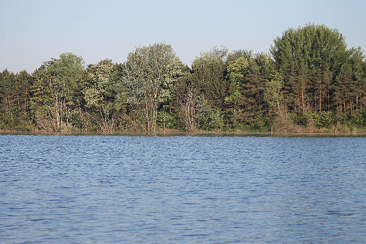 Viehofner See, 28. Mai 2017 - Foto 10 - klick = zurck zum Index