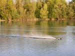 Foto 09